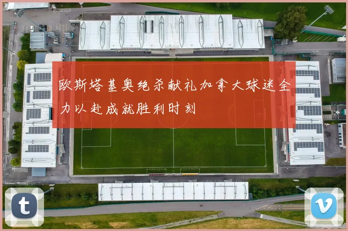 欧斯塔基奥绝杀献礼加拿大球迷全力以赴成就胜利时刻