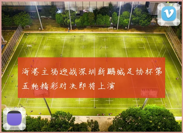 海港主场迎战深圳新鹏城足协杯第五轮精彩对决即将上演